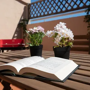 Apartamento ático Santa María En El Corazón De, Cádiz